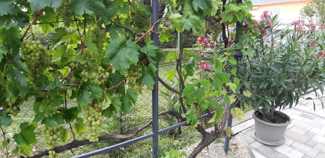 A Bringas Apartman Balatonfüred Екстериор снимка